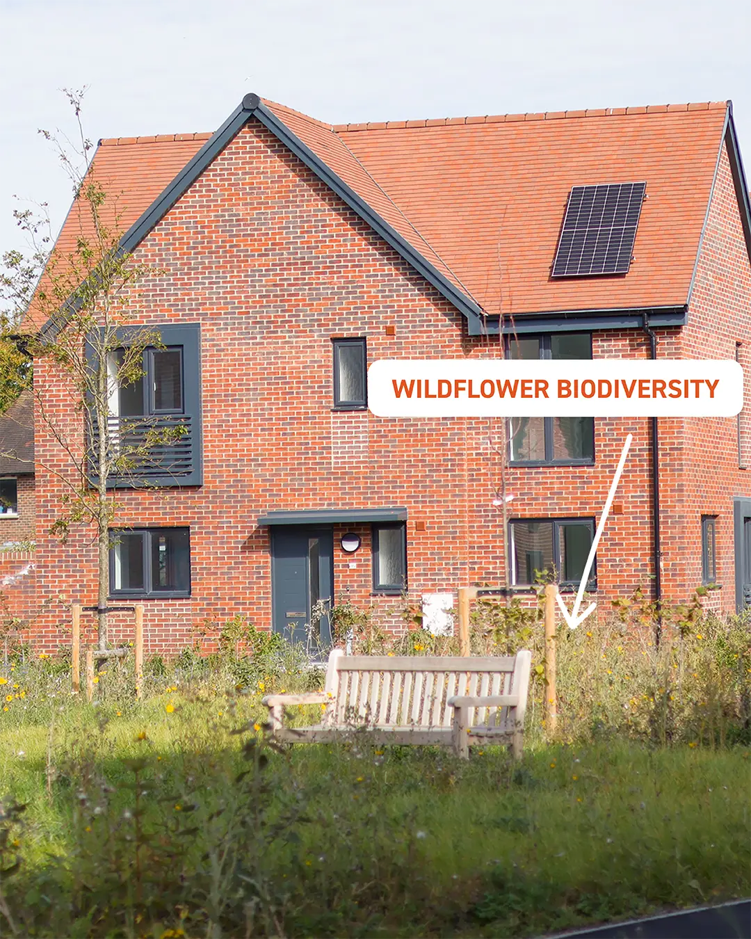 Highlighting Wildflower Meadows at West Ashling Housing Development